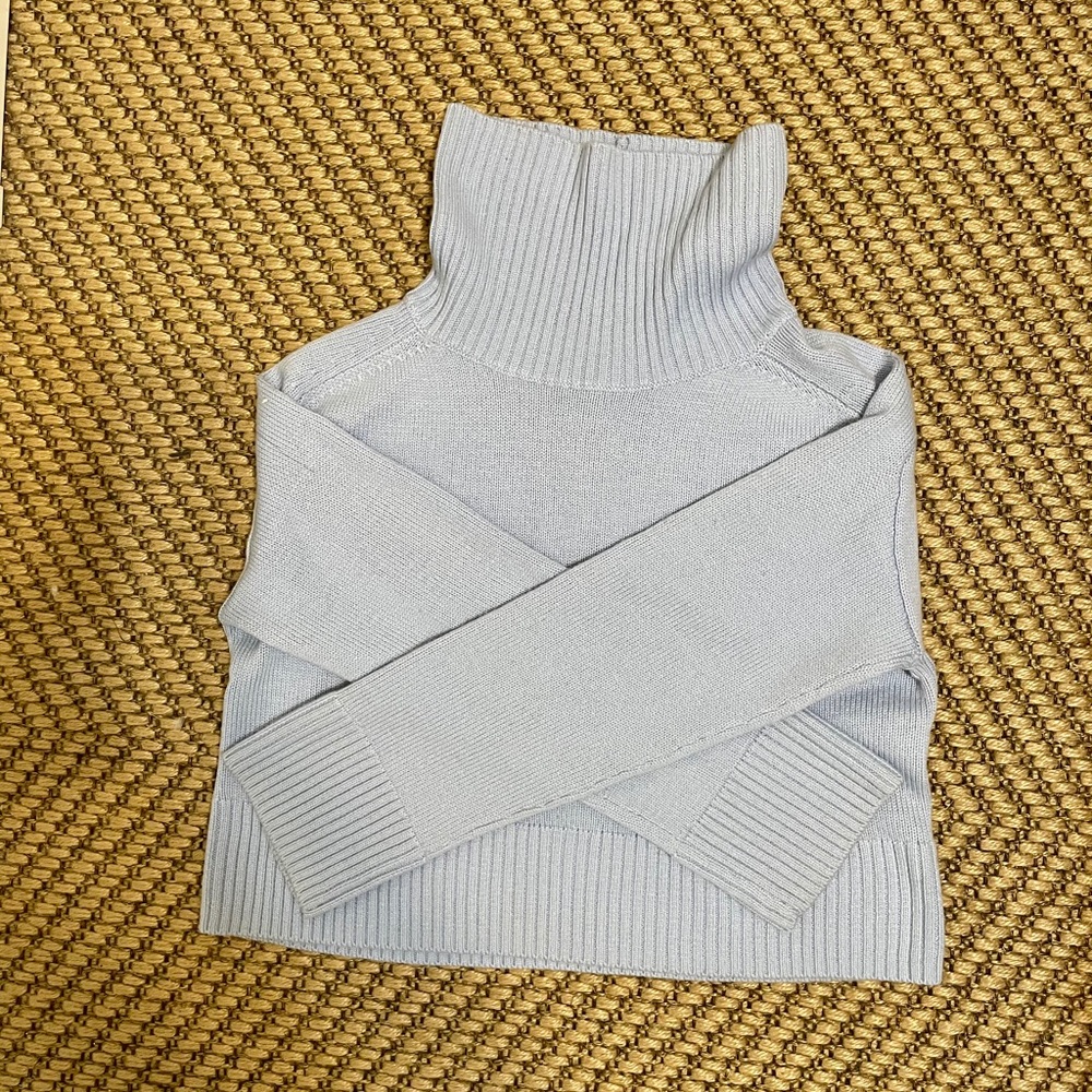 Aritzia- Babaton Sweater